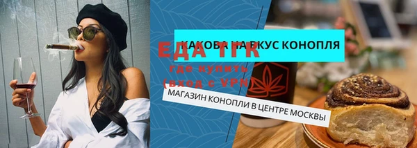 шишки Покачи