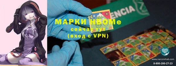 шишки Покачи