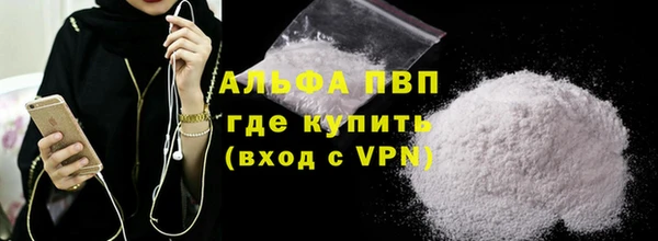 шишки Покачи