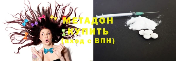 шишки Покачи