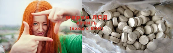 шишки Покачи
