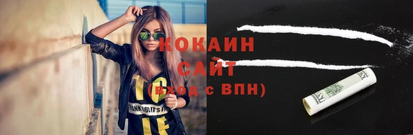 шишки Покачи