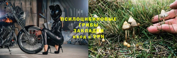 ешки Покров