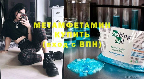 шишки Покачи