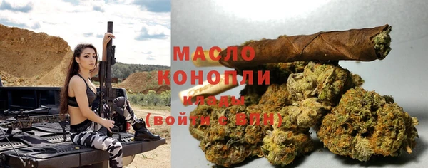 шишки Покачи