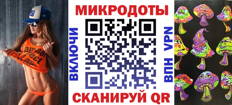 Галлюциногенные грибы Psilocybe  Аткарск 